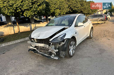 Внедорожник / Кроссовер Tesla Model Y 2023 в Ровно