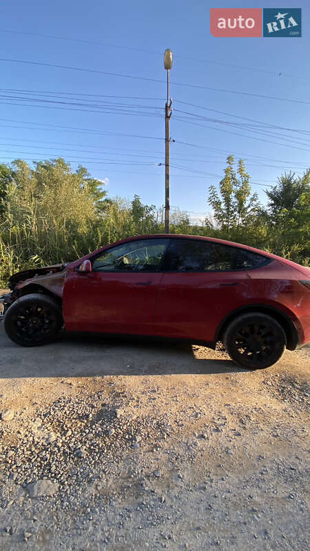 Внедорожник / Кроссовер Tesla Model Y 2021 в Львове