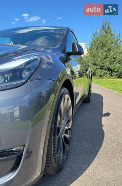 Внедорожник / Кроссовер Tesla Model Y 2023 в 