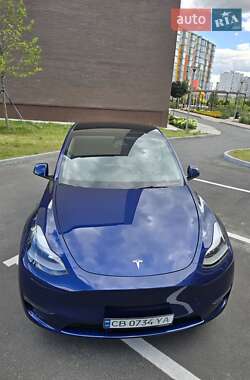 Внедорожник / Кроссовер Tesla Model Y 2024 в 