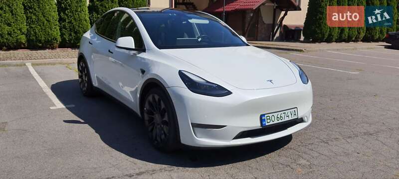 Позашляховик / Кросовер Tesla Model Y 2022 в Львові