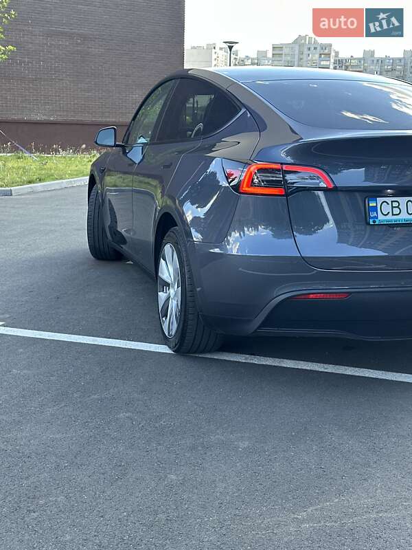 Позашляховик / Кросовер Tesla Model Y 2023 в Чернігові
