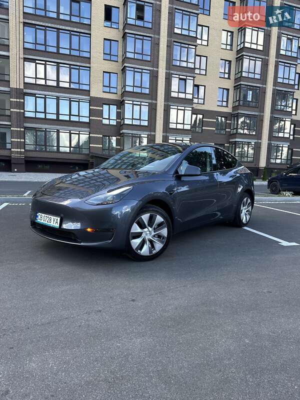 Позашляховик / Кросовер Tesla Model Y 2023 в Чернігові