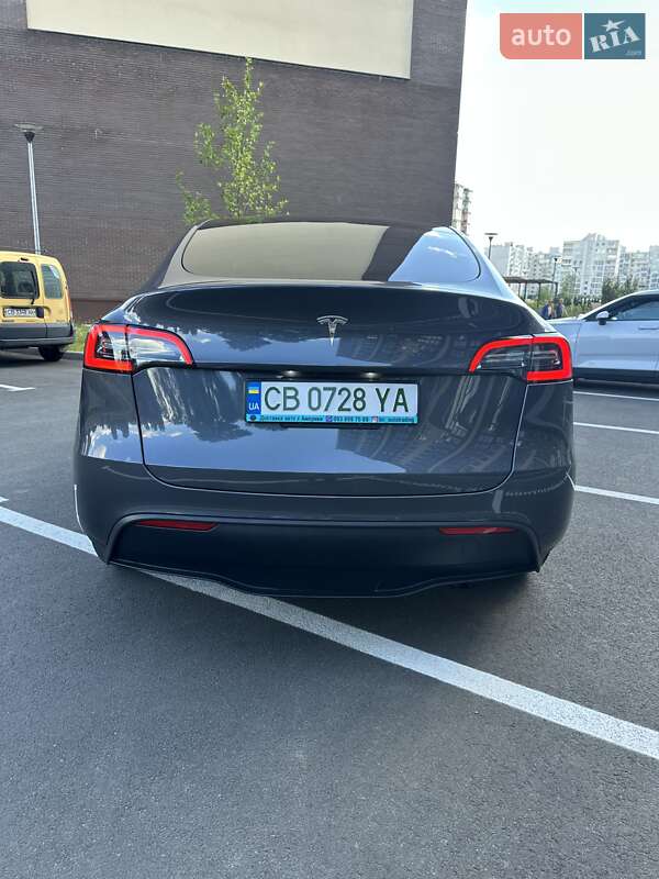 Позашляховик / Кросовер Tesla Model Y 2023 в Чернігові