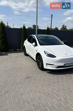 Внедорожник / Кроссовер Tesla Model Y 2021 в Шептицькому