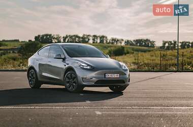 Внедорожник / Кроссовер Tesla Model Y 2024 в 