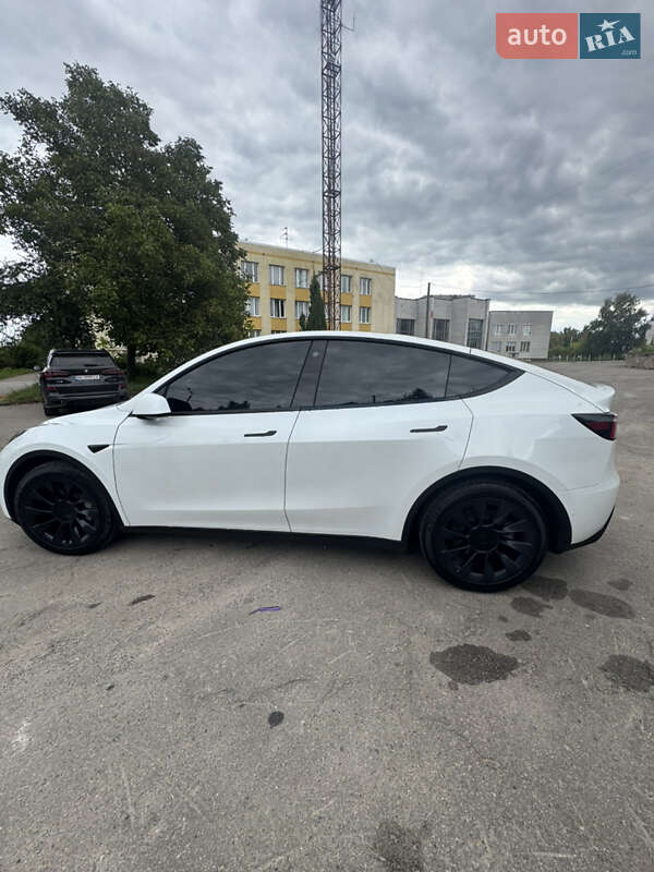 Позашляховик / Кросовер Tesla Model Y 2021 в Рівному