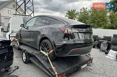 Внедорожник / Кроссовер Tesla Model Y 2023 в Дрогобыче