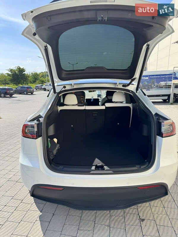 Позашляховик / Кросовер Tesla Model Y 2021 в Львові