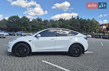 Внедорожник / Кроссовер Tesla Model Y 2021 в Ужгороде