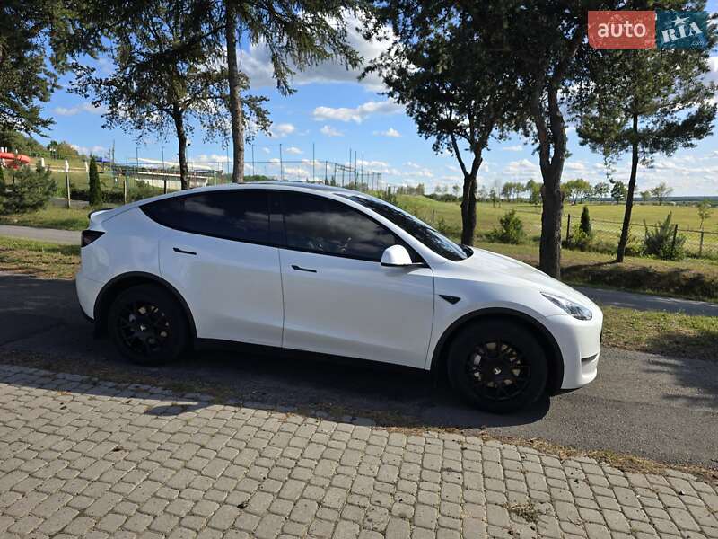 Внедорожник / Кроссовер Tesla Model Y 2021 в Ужгороде