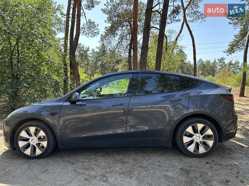 Позашляховик / Кросовер Tesla Model Y 2021 в Дніпрі