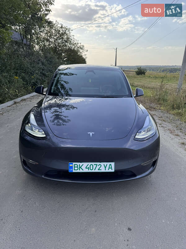 Позашляховик / Кросовер Tesla Model Y 2023 в Рівному