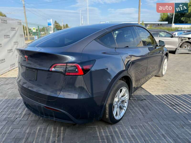 Позашляховик / Кросовер Tesla Model Y 2021 в Луцьку