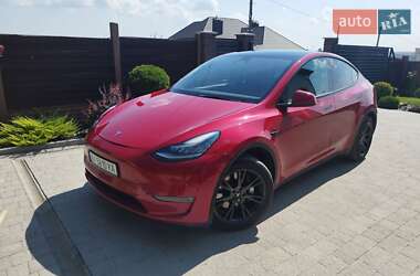 Позашляховик / Кросовер Tesla Model Y 2021 в Тернополі