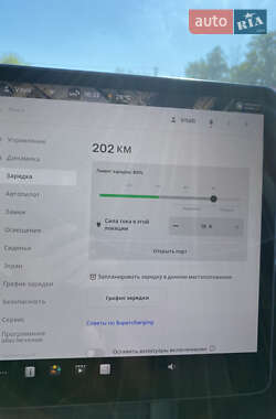 Позашляховик / Кросовер Tesla Model Y 2023 в 