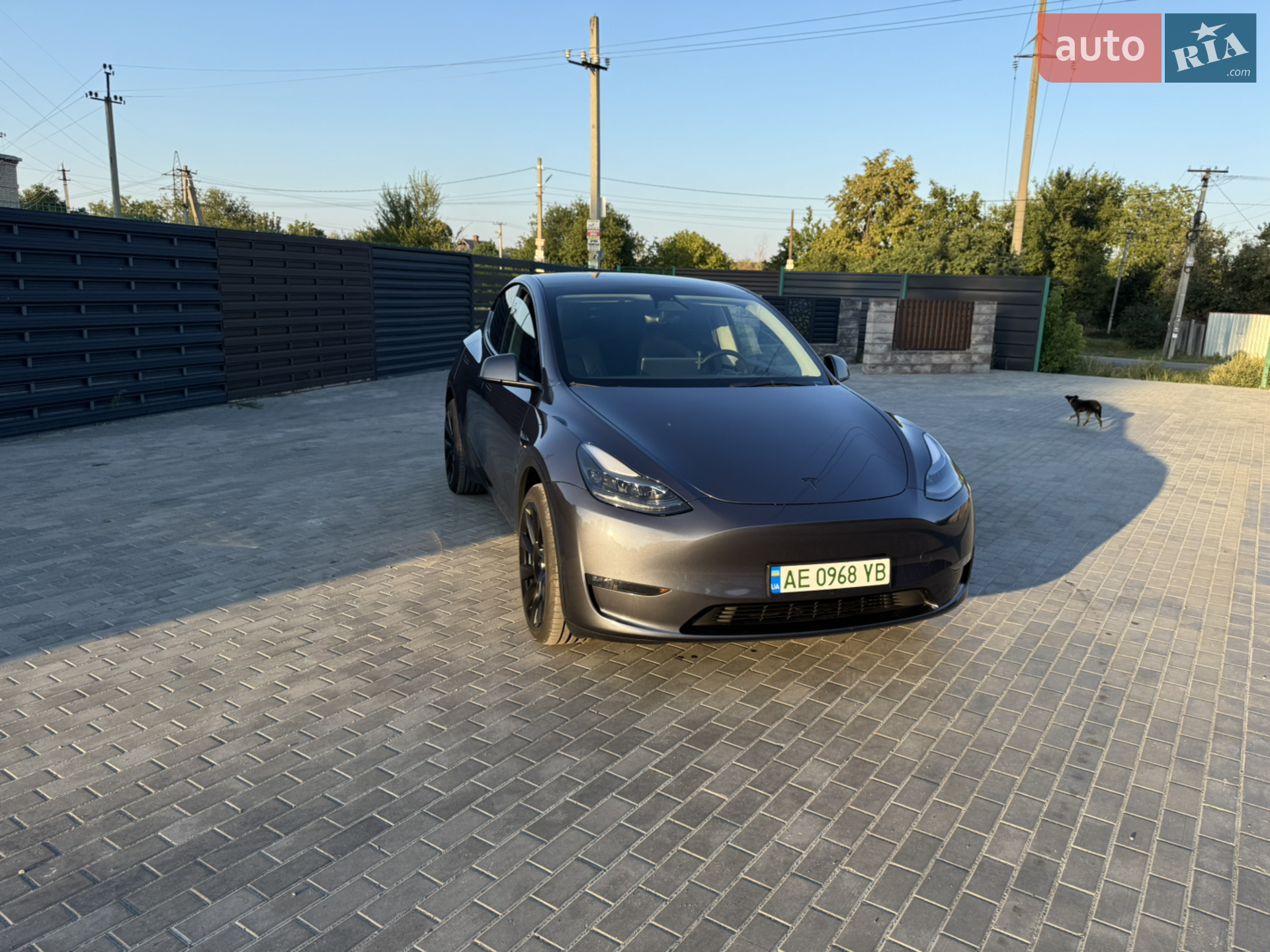 2023 Tesla Model Y - мініатюра 9