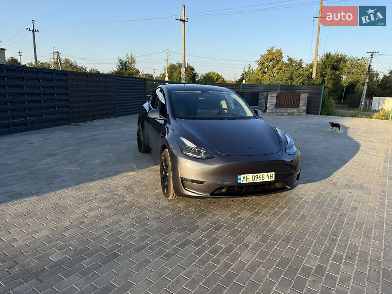 Внедорожник / Кроссовер Tesla Model Y 2023 в Днепре