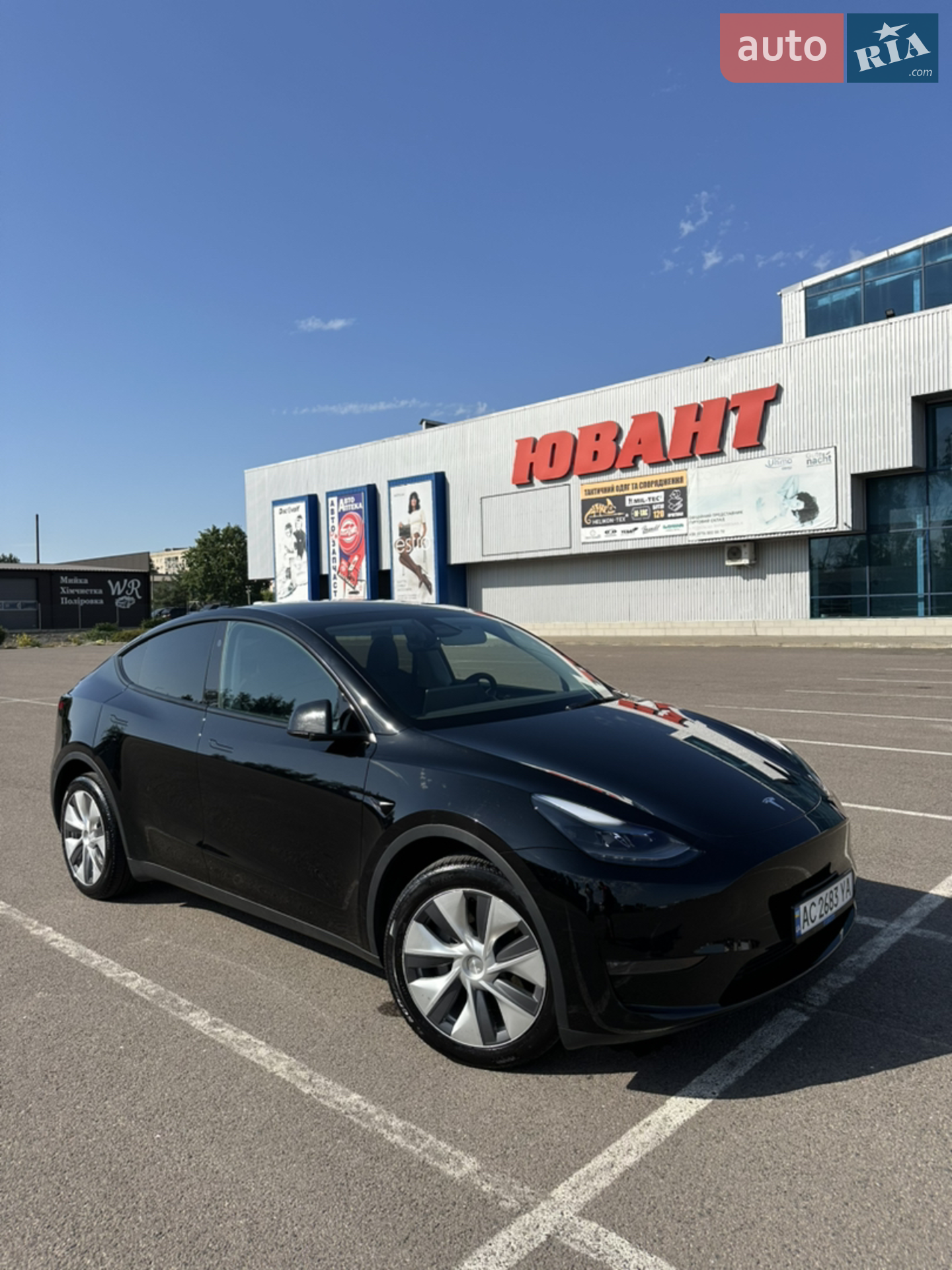 2023 Tesla Model Y - фото 1