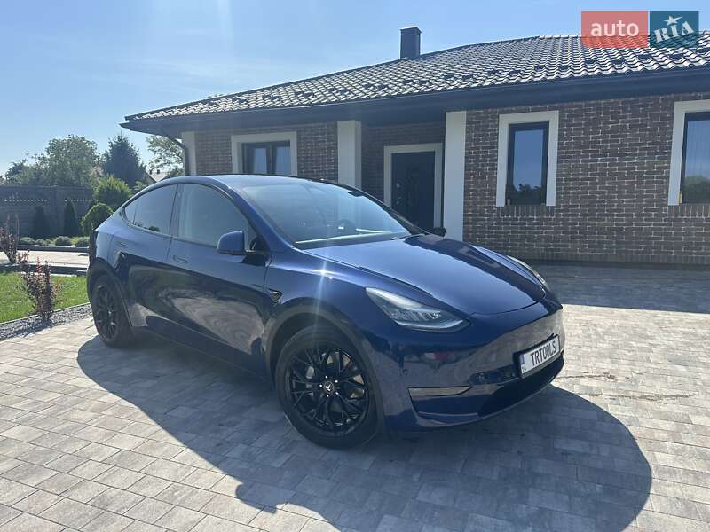 Позашляховик / Кросовер Tesla Model Y 2020 в Львові