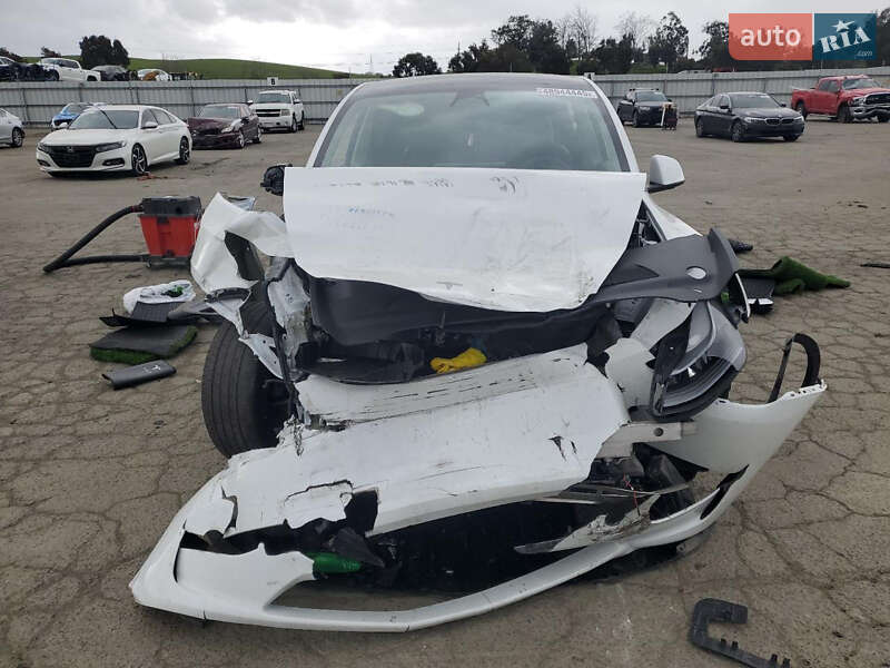 Внедорожник / Кроссовер Tesla Model Y 2023 в Днепре