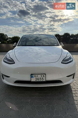 Внедорожник / Кроссовер Tesla Model Y 2021 в Тернополе