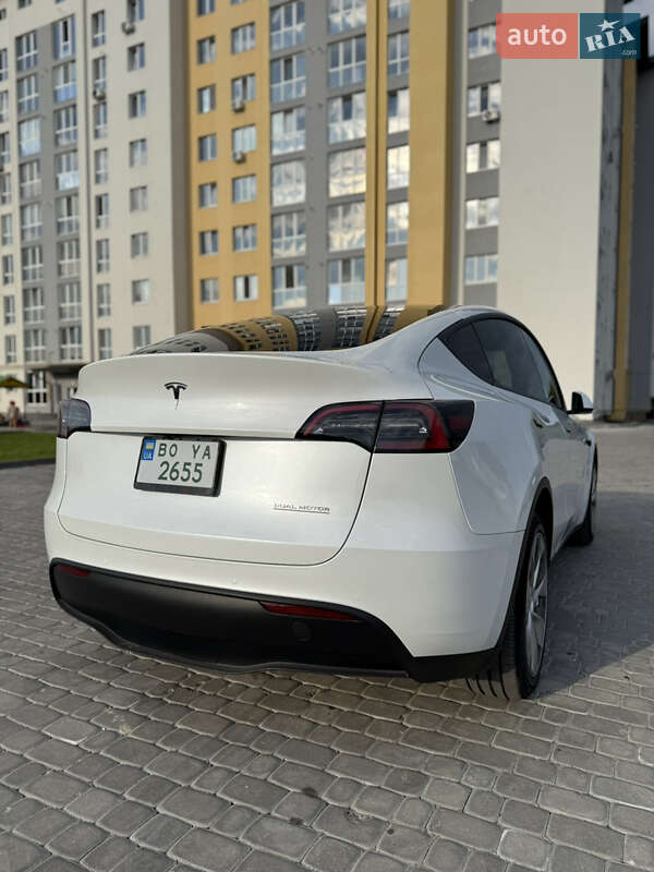 Позашляховик / Кросовер Tesla Model Y 2021 в Тернополі