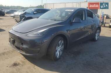 Внедорожник / Кроссовер Tesla Model Y 2024 в Киеве