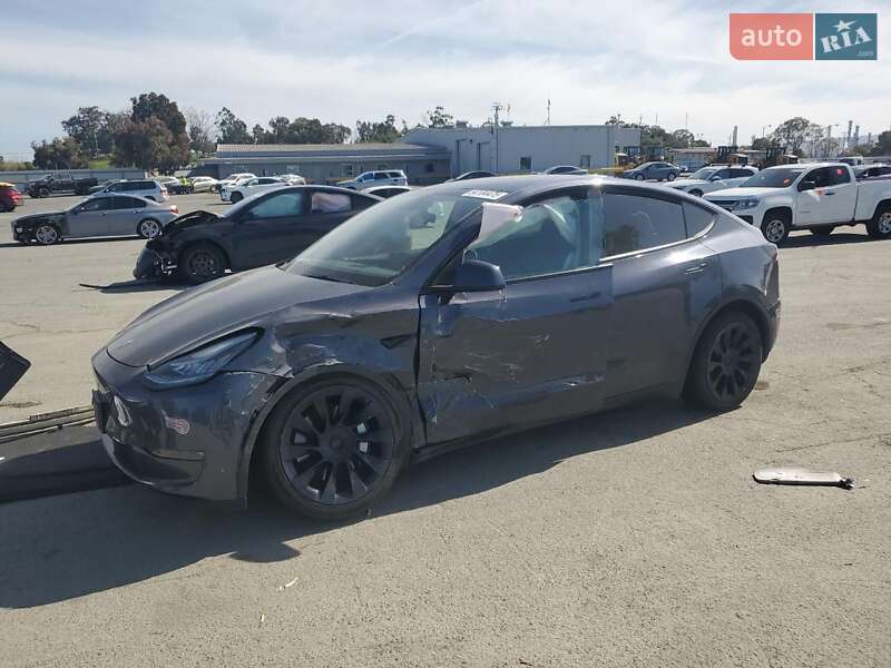 Позашляховик / Кросовер Tesla Model Y 2022 в Самборі