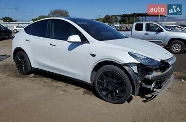 Позашляховик / Кросовер Tesla Model Y 2021 в 