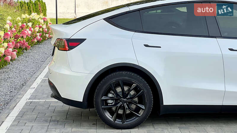 Позашляховик / Кросовер Tesla Model Y 2021 в Луцьку