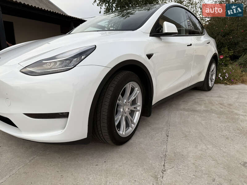 Внедорожник / Кроссовер Tesla Model Y 2023 в Днепре