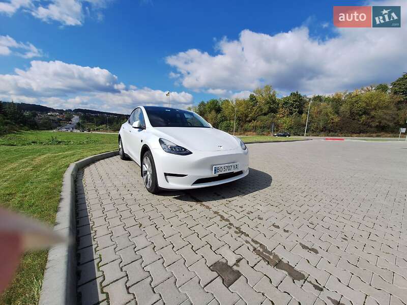 Позашляховик / Кросовер Tesla Model Y 2021 в Тернополі