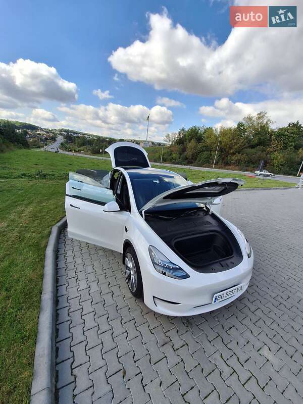 Позашляховик / Кросовер Tesla Model Y 2021 в Тернополі