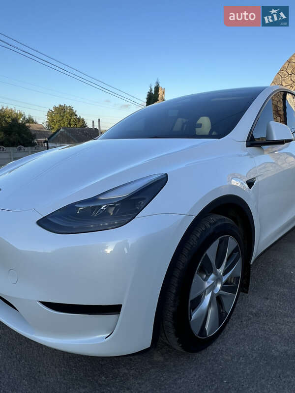Позашляховик / Кросовер Tesla Model Y 2023 в Шаргороді