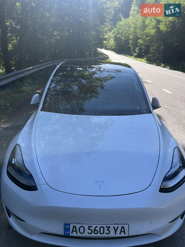 Внедорожник / Кроссовер Tesla Model Y 2021 в Ужгороде