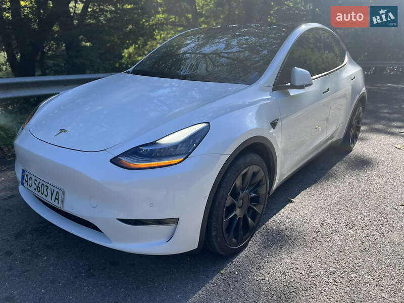 Внедорожник / Кроссовер Tesla Model Y 2021 в Ужгороде