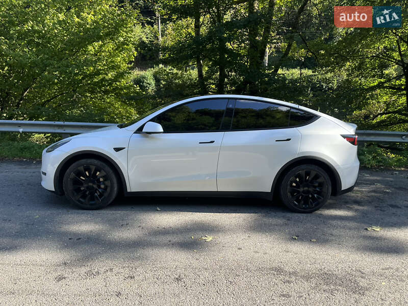 Внедорожник / Кроссовер Tesla Model Y 2021 в Ужгороде