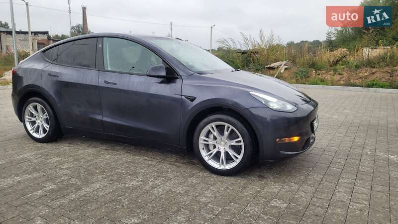 Позашляховик / Кросовер Tesla Model Y 2024 в Львові