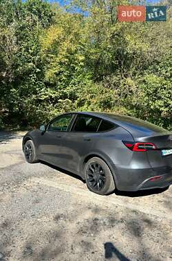 Позашляховик / Кросовер Tesla Model Y 2021 в 