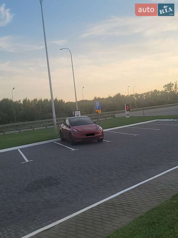 Внедорожник / Кроссовер Tesla Model Y 2022 в Киеве фото 3 Внедорожник / Кроссовер Tesla Model Y 2022 в Киеве