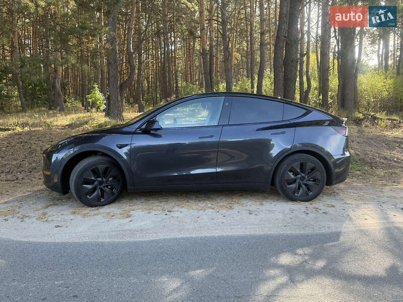 Внедорожник / Кроссовер Tesla Model Y 2024 в 