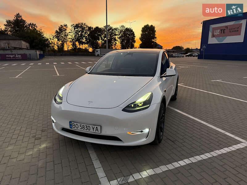 Позашляховик / Кросовер Tesla Model Y 2022 в Тернополі