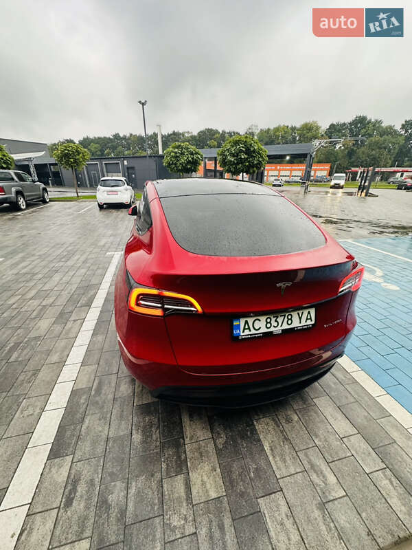 Позашляховик / Кросовер Tesla Model Y 2021 в Луцьку