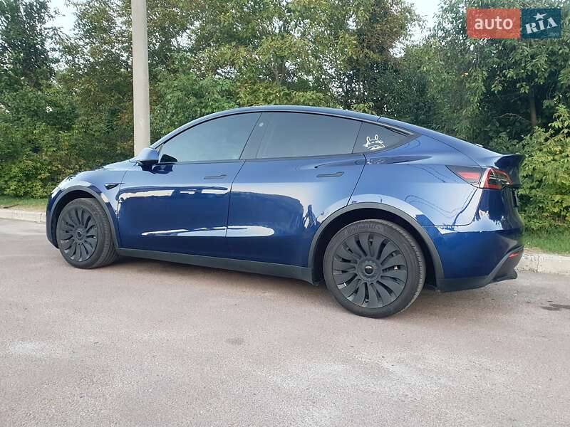 Внедорожник / Кроссовер Tesla Model Y 2023 в Житомире