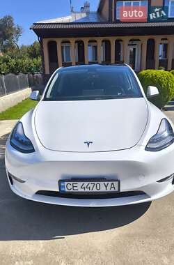 Внедорожник / Кроссовер Tesla Model Y 2023 в Новоселице