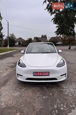 Внедорожник / Кроссовер Tesla Model Y 2021 в Сквире