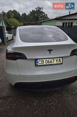 Позашляховик / Кросовер Tesla Model Y 2020 в 