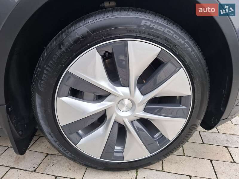 Позашляховик / Кросовер Tesla Model Y 2023 в Києві