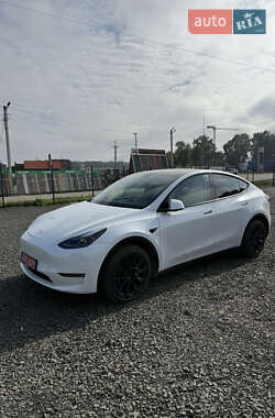 Позашляховик / Кросовер Tesla Model Y 2023 в Луцьку